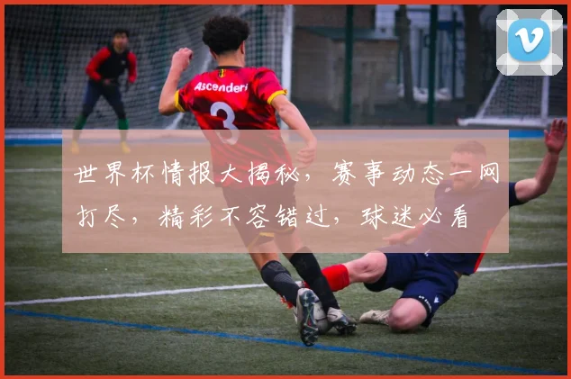 世界杯情报大揭秘，赛事动态一网打尽，精彩不容错过，球迷必看