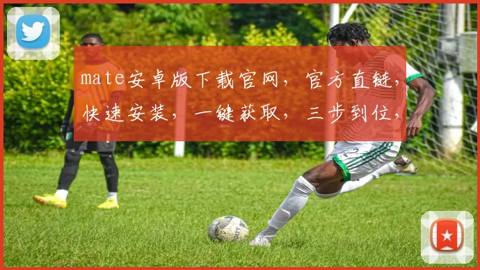 mate安卓版下载官网，官方直链，快速安装，一键获取，三步到位，体验非凡